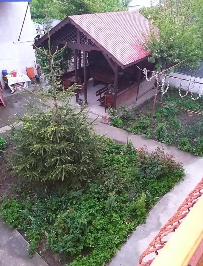 Hotel Pensiune La Rodica Costinesti Esterno foto