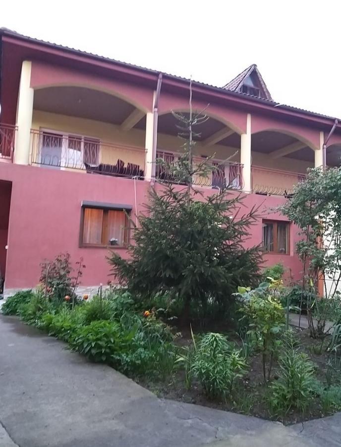 Hotel Pensiune La Rodica Costinesti Esterno foto